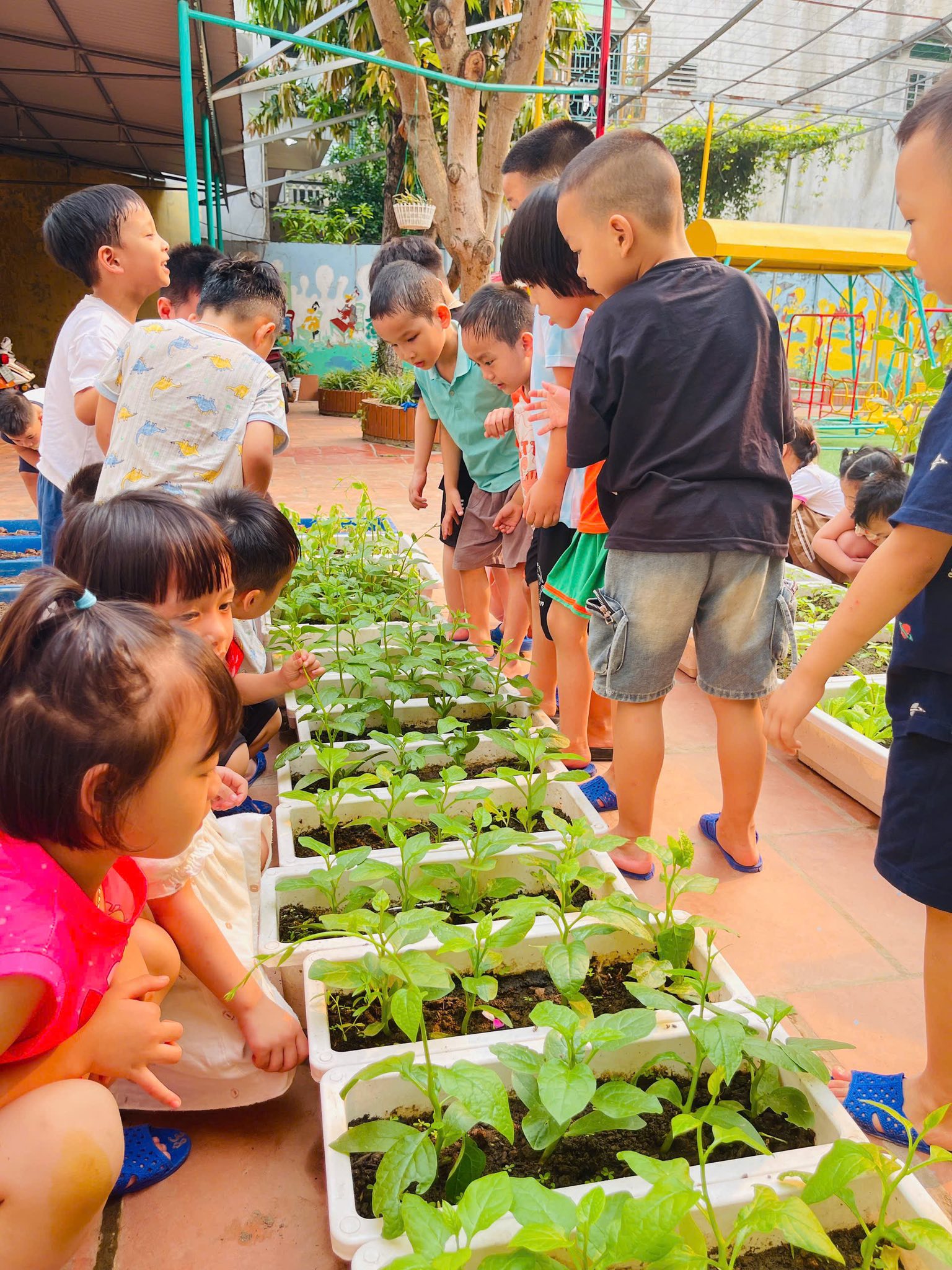 668835162 122131836645050456 4183683467382172708 n