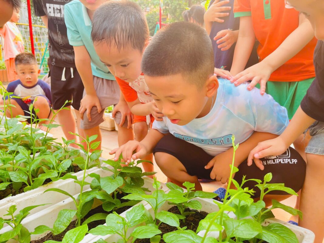 669039535 122131836759050456 8969458781954513573 n