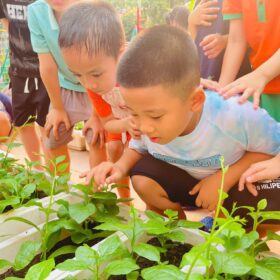 669039535 122131836759050456 8969458781954513573 n