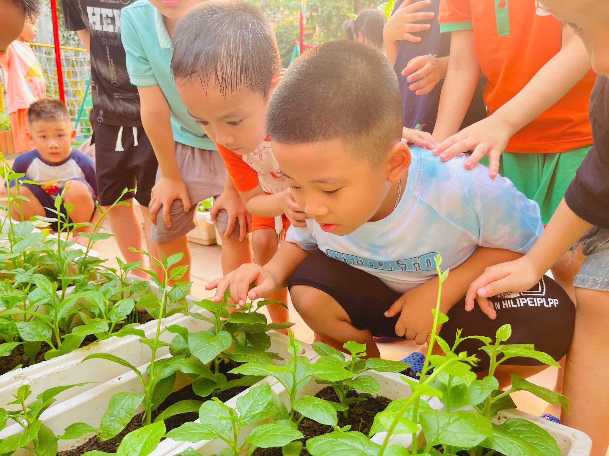 669039535 122131836759050456 8969458781954513573 n